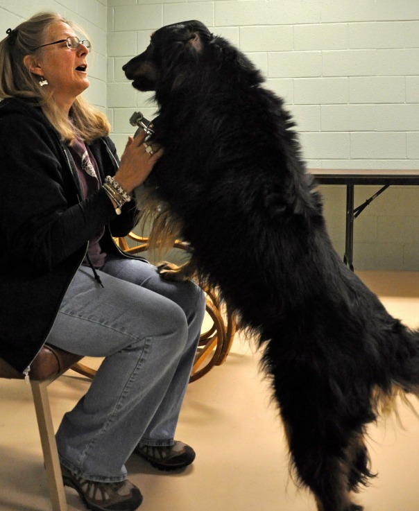 Reiki Master Liz Strickler plays with 3-year-old Joseph, at Centre County PAWS, where she is a volunteer dog coordinator 
